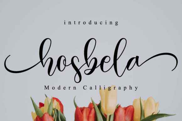 Hosbela Script: A Balanced Evaluation for Designers and Developers