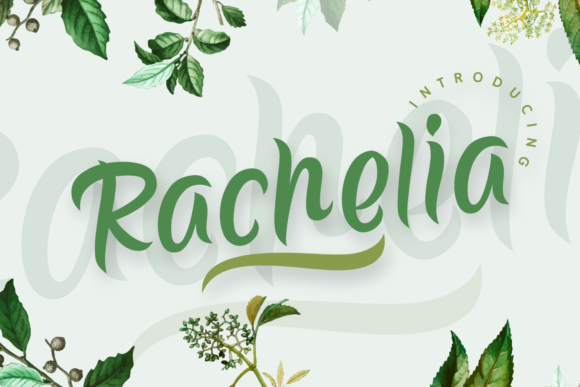Rachelia: Where Handwritten Warmth Meets Modern Clarity